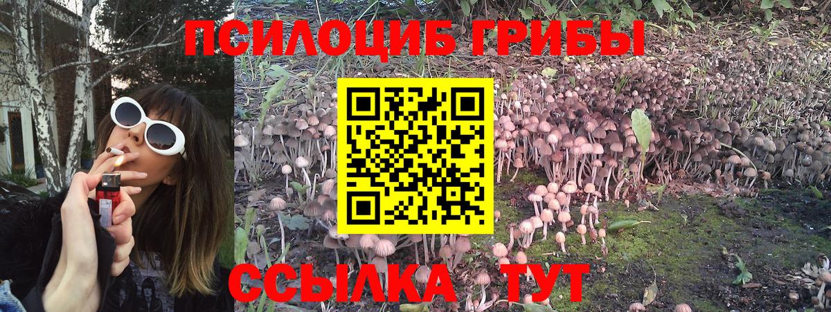 Галлюциногенные грибы GOLDEN TEACHER Касимов