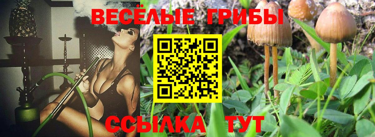 Галлюциногенные грибы MAGIC MUSHROOMS  даркнет сайт  Касимов  Вход с VPN 